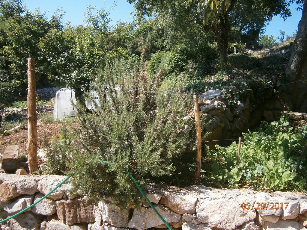 Holiday Home Loznati Cres Dış mekan fotoğraf