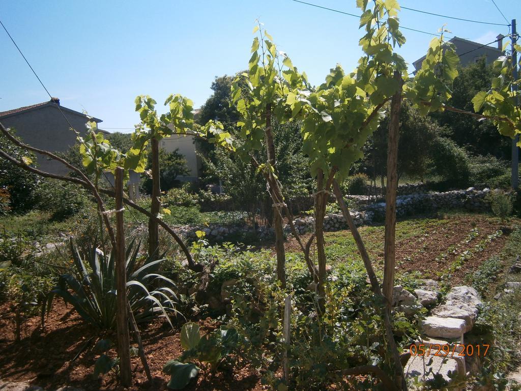 Holiday Home Loznati Cres Dış mekan fotoğraf