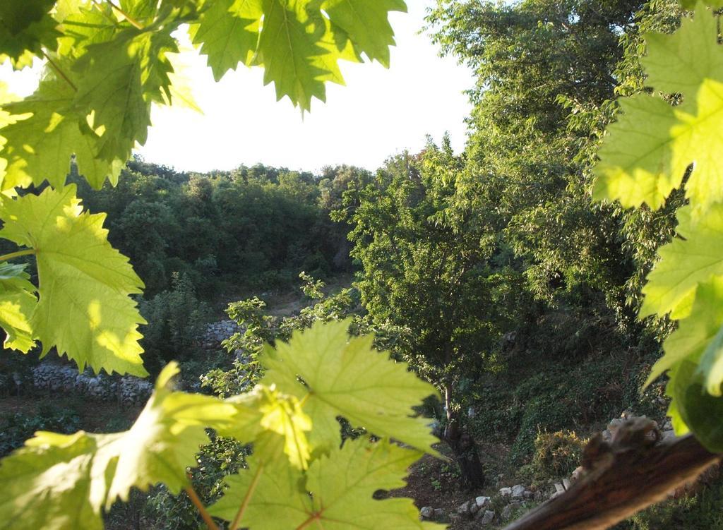 Holiday Home Loznati Cres Dış mekan fotoğraf