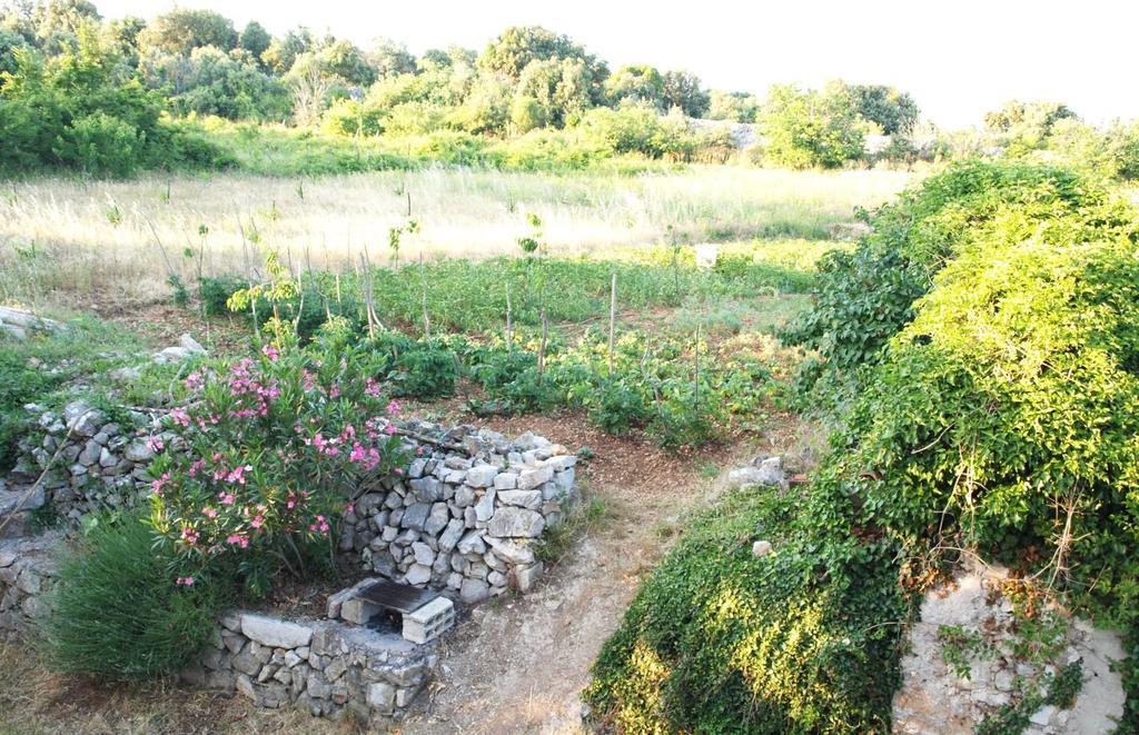 Holiday Home Loznati Cres Dış mekan fotoğraf