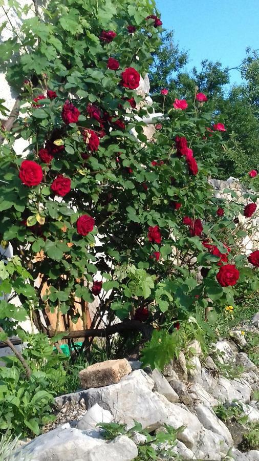 Holiday Home Loznati Cres Dış mekan fotoğraf